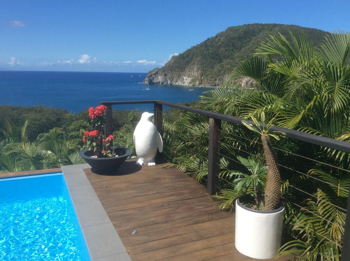 Villa Pelican Lodge Deshaies Dış mekan fotoğraf